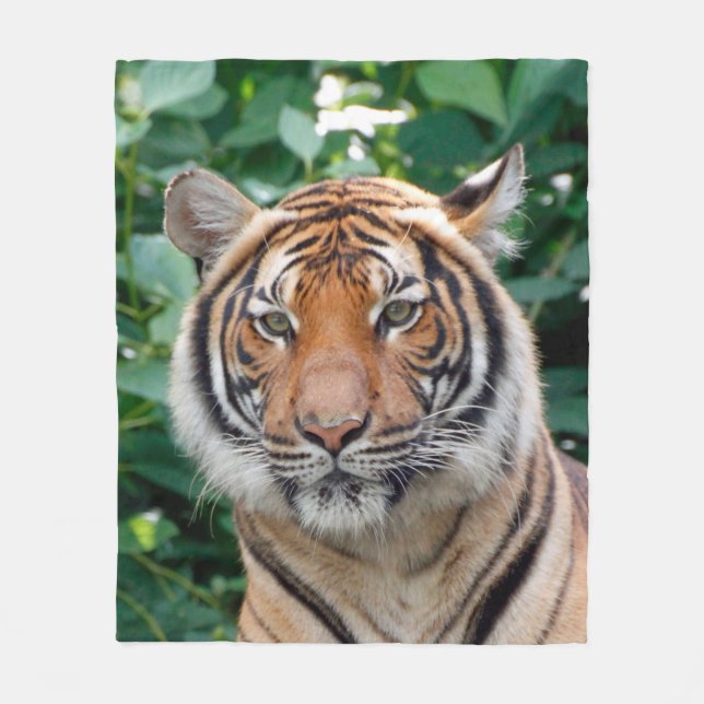 Manta Polar Tigre 001 (Anverso)
