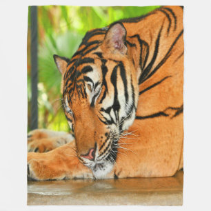 Manta Polar Tigre durmiente