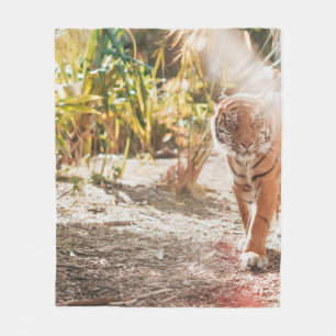 MANTA POLAR TIGRE MARRÓN EN GESTO DE CAMINO