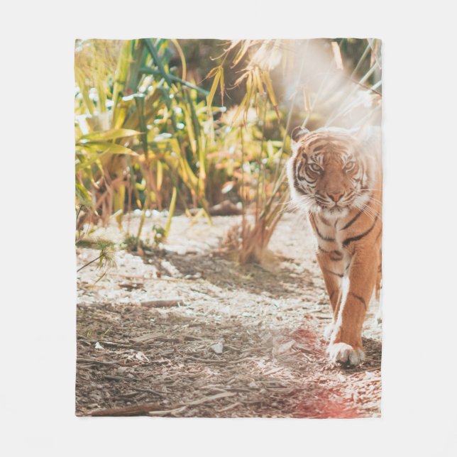 MANTA POLAR TIGRE MARRÓN EN GESTO DE CAMINO (Anverso)