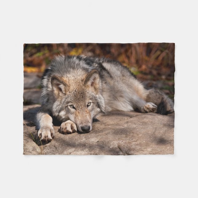 Manta Polar Timber Wolf (Frente (Horizontal))