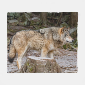 Manta Polar Timber Wolf