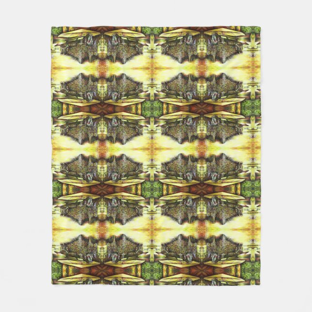 Manta Polar Tomada de la posesión de los poderes (Anverso)