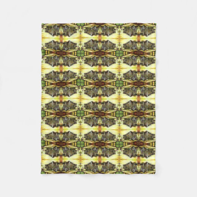 Manta Polar Tomada de la posesión de los poderes (Anverso)