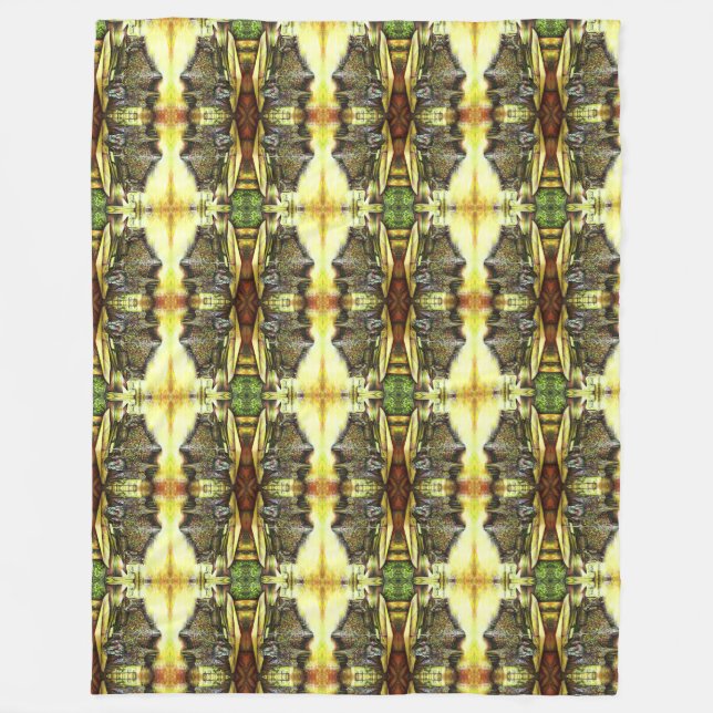 Manta Polar Tomada de la posesión de los poderes (Anverso)