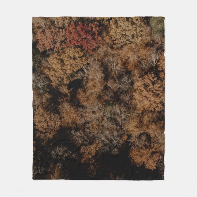 Manta Polar Top-view photography of tree (Anverso)