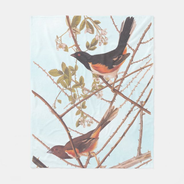 Manta Polar Toque para revolver a las aves negras y Naranjas (Anverso)