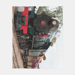 Manta Polar Tren del vapor de Pichi Richi