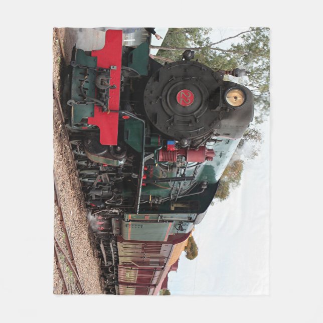 Manta Polar Tren del vapor de Pichi Richi (Anverso)