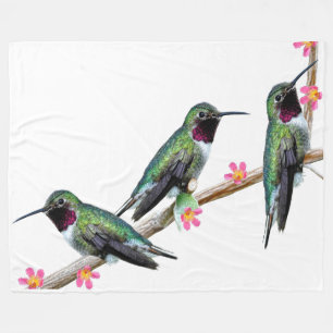 Manta Polar Tres colibríes encaramados en una rama de un Floss