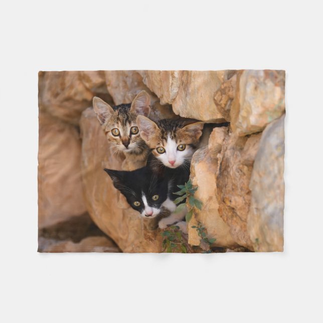 Manta Polar Tres gatitos curiosos lindos (Frente (Horizontal))