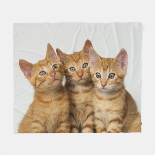 Manta Polar Tres gatitos lindos del jengibre de lado a lado, (Frente (Horizontal))