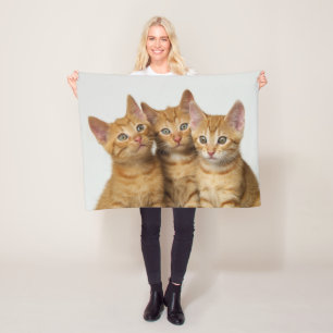 Manta Polar Tres lindos gatitos sentados lado a lado -