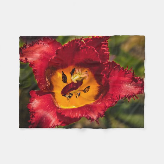 Manta Polar Tulip rojo (Frente (Horizontal))