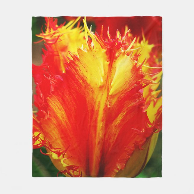 Manta Polar Tulipán Curly De Cierre Rojo Y Amarillo (Anverso)