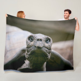 Manta Polar ¿TURTLE o E.T.?