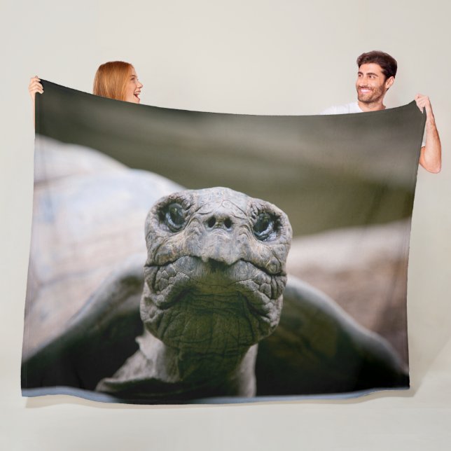 Manta Polar ¿TURTLE o E.T.? (In situ)