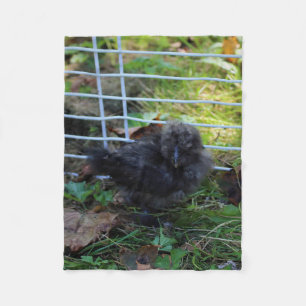 Manta Polar Un bebé Silkie