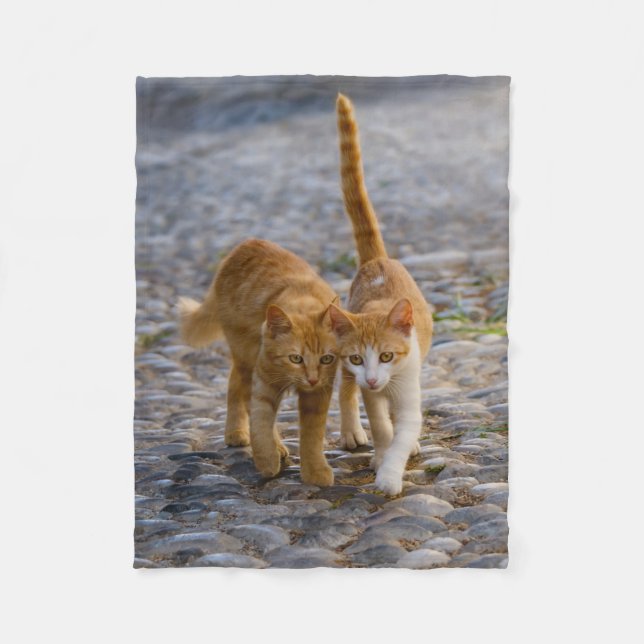 Manta Polar Un gatito tierno gatito gatitos amigos Stony Path  (Anverso)