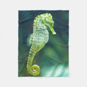 Manta Polar Un Seahorse hermoso de Knysna