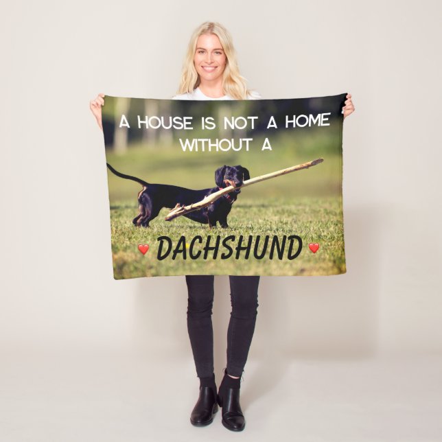 Manta Polar Una Casa No Un Perro Dachshund En Casa (In situ)