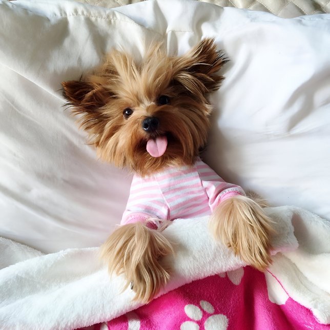 Manta Polar Una funda de papel rosa ideal para perros (Pink personalized dog blanket for puppy dog lovers)