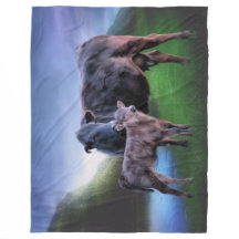 Vaca y ternera de ángulos negros