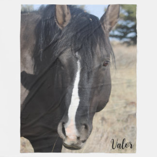 Manta Polar Valor de S Steens