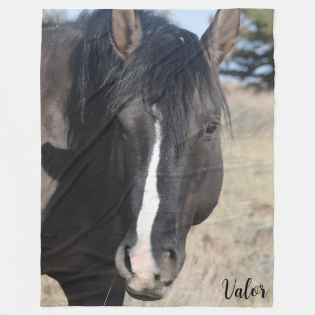 Manta Polar Valor de S Steens (Anverso)
