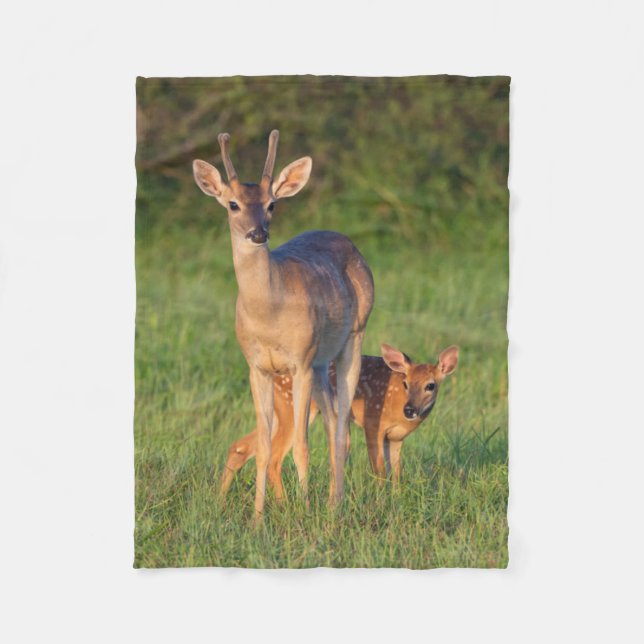 Manta Polar Venado de cola blanca | Hábitat de hierba (Anverso)