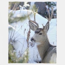 Venado En La Nieve