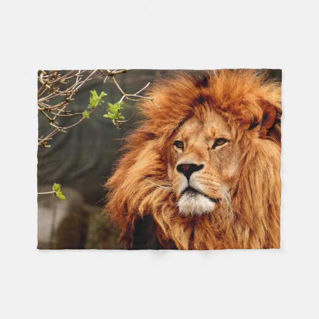 Manta Polar Vibrant colourful Close-up Lion picture (Frente (Horizontal))