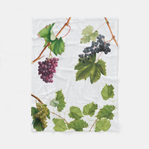 Manta Polar Vineyard