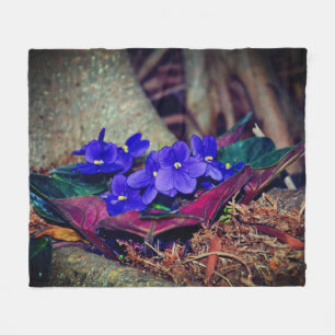 Manta Polar Violencia africana