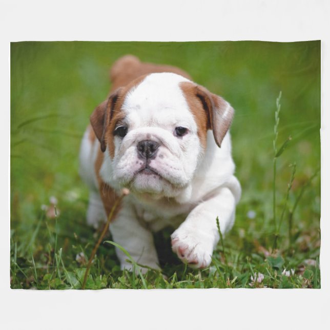 MANTA POLAR VOY A SER UN "CUERO DE CUERO" (Frente (Horizontal))