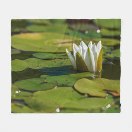 Manta Polar Water Lily Blossom