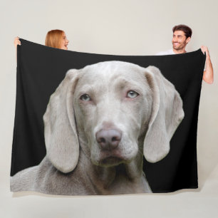 MANTA POLAR WEIMARANER