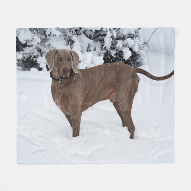 Manta Polar Weimaraner En Invierno (Frente (Horizontal))