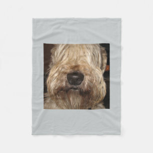 Manta Polar wheaton revestido suave terrier.png