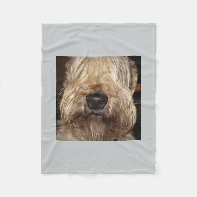 Manta Polar wheaton revestido suave terrier.png (Anverso)