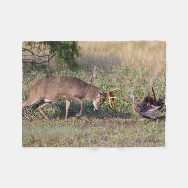 Manta Polar White-tailed Deer Fighting Wild Turkey (Frente (Horizontal))