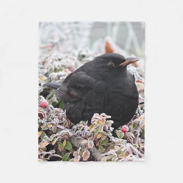 Manta Polar Winter Blackbird (Anverso)