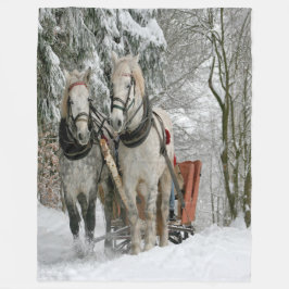 Manta Polar Wintertime Sleigh Ride