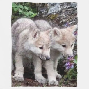 MANTA POLAR WOLF CUBS
