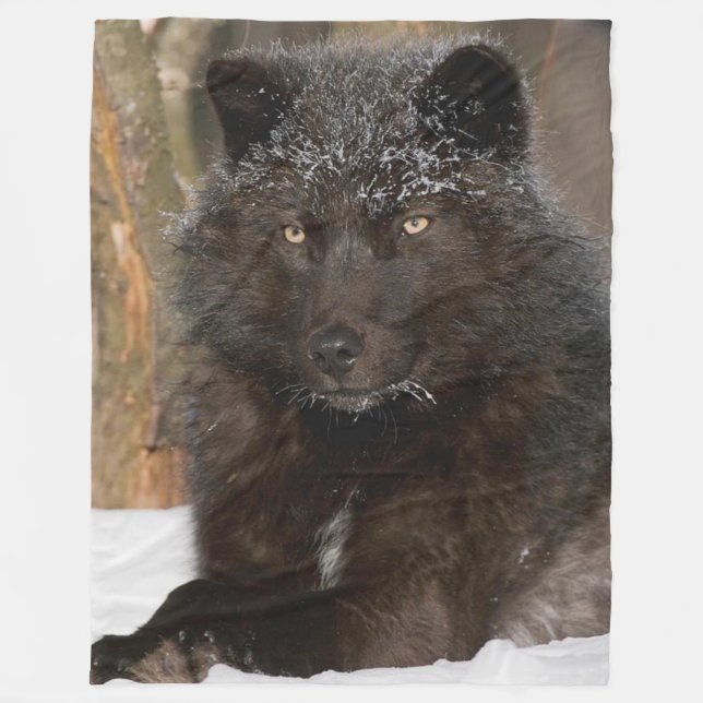 MANTA POLAR WOLF NEGRO (Anverso)