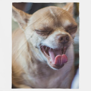 Manta Polar Yawning Chihuahua