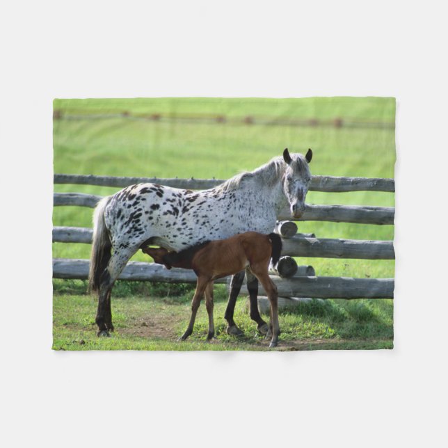 Manta Polar Yegua Appaloosa y potro (Frente (Horizontal))