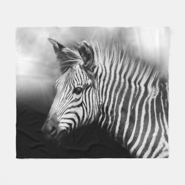 Manta Polar Zebra Foal (Frente (Horizontal))