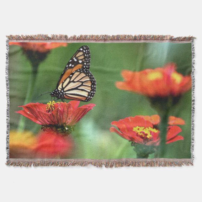 Manta Polinización de la mariposa monarca (Anverso)
