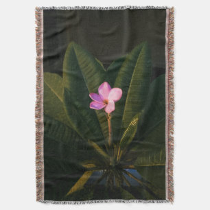 Manta Primer florín, Plumeria